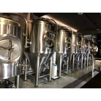 2噸精釀啤酒設備生產(chǎn)廠家 釀啤酒的設備 啤酒設備廠家