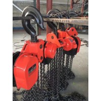 新疆DHS電動(dòng)倒鏈20噸10米環(huán)鏈電動(dòng)葫蘆現(xiàn)貨